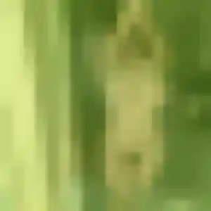 Découvre Nafi, 39 ans à Coudoux en t'inscrivant