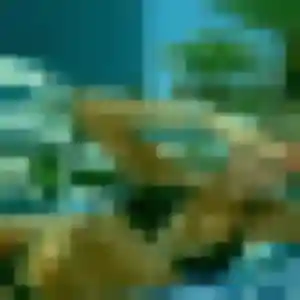 Sékou, 27 ans, cherche un plan cul à Couiza