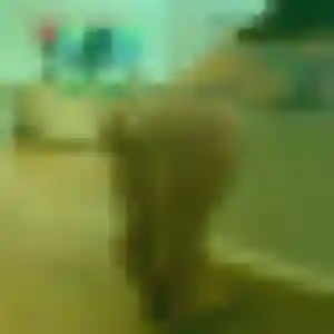 Gisèle, 28 ans, en ligne à Coulaures pour une rencontre coquine