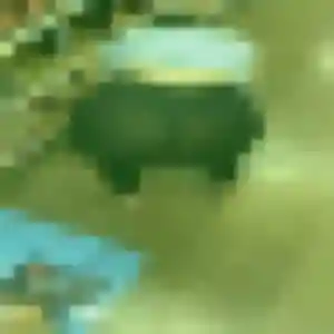 Joy de Coulomby, 43 ans - plan cul en toute liberté