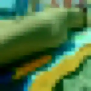 Charmante Yasmine, 44 ans à Coulon - découvrir son profil