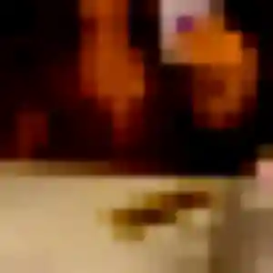 Lou de Courcôme, 23 ans - plan cul sans prise de tête