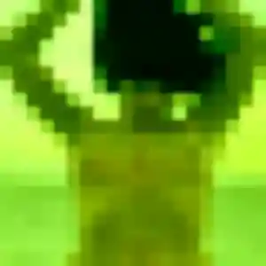 Rencontre Anaïs, 25 ans à Courlay gratuitement