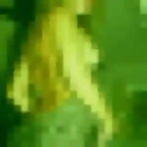 Nafi, fille de 34 ans propose plan cul à Courtry