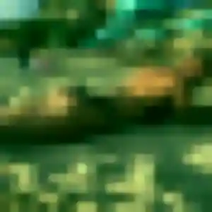 plan cul à Coyecques : photo de Ursula, 38 ans - inscription gratuite