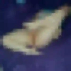 Jolie Sokhna, 33 ans à Cravant-les-Côteaux - la contacter
