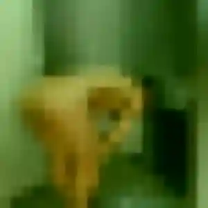 Profil de Leïla à Créhange (30 ans) - plan cul anonyme