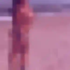 plan cul à Crémarest : profil de Adeola, 40 ans - inscription gratuite