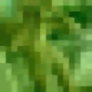 plan cul à Crespin : profil de Solène, 32 ans - inscription gratuite