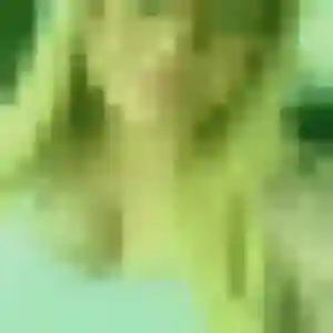 Photo sexy de Lina, 23 ans à Criquebeuf-sur-Seine - plan discret