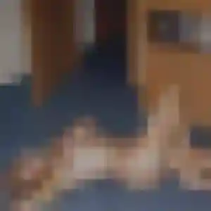 Ophélie, 45 ans, connectée à Cubzac-les-Ponts pour un plan cul