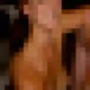 plan cul à Cucuron : profil de Awa, 33 ans - sans engagement