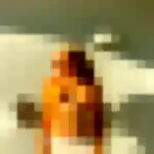 Constance, 32 ans, disponible à Cuffy pour un plan cul