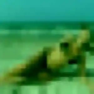 Jolie Soline, 38 ans à Cuincy - découvrir son profil