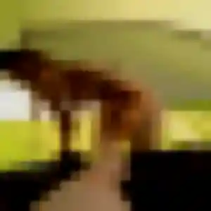 Assétou (37 ans) à Cuinzier attend un plan cul ce soir