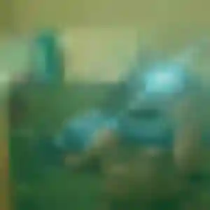 Abiodun, fille de 32 ans cherche plan cul à Dammartin-en-Goële