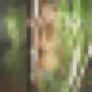 Noëlle, 39 ans, connectée à Darnieulles pour une rencontre coquine