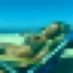 Rencontre Sandrine, 37 ans à Demi-Quartier gratuitement