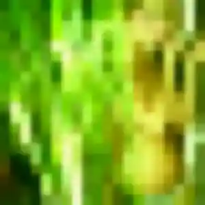 Découvre Kaddy, 34 ans à Déols en t'inscrivant