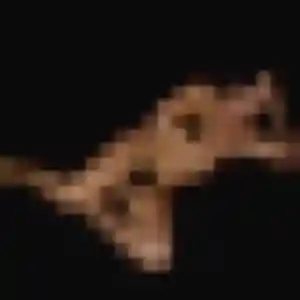 Belle Solène, 24 ans à Diebolsheim - la contacter