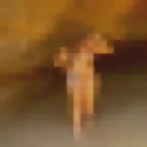 Profil de Lina à Dienville (38 ans) - plan cul discret