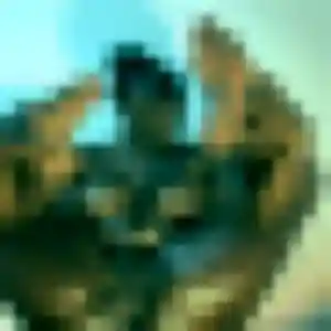 Photo perso de Folake, 43 ans à Dierre - rencontre coquine