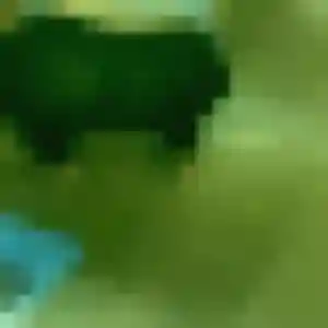 plan cul à Dierre : photo de Joy, 39 ans - sans engagement