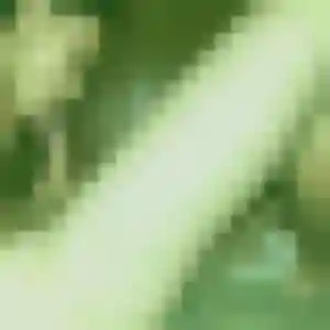 Patience, fille de 34 ans cherche plan cul à Dietwiller