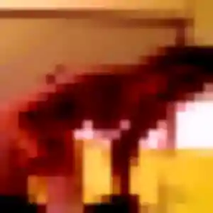 Contacte Amani, 22 ans à Dinéault en t'inscrivant