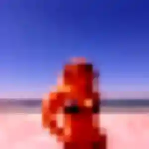 Photo de Marguerite à Dingy-Saint-Clair (22 ans) - plan cul sans inscription