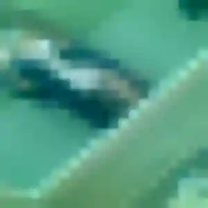 Sexy Joy, 38 ans à Docelles - voir sa photo