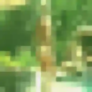 Tabitha (34 ans) à Doissin attend une rencontre rapidement