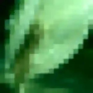 Photo perso de Félicité, 35 ans à Dom-le-Mesnil - plan discret