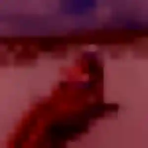 Profil de Codou à Domessin (39 ans) - plan cul gratuit