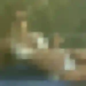 Perpétue, 26 ans, dispo pour plan cul à Dompierre-sur-Helpe