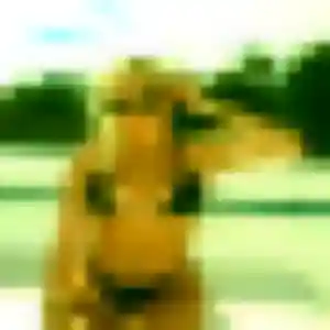 Découvre Sira, 25 ans à Dompierre-sur-Mer en privé