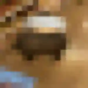 Photo exclusive de Ngozi, 24 ans à Dorat - rencontre sans lendemain