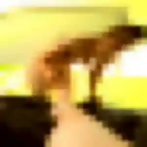 Charmante Selbé, 33 ans à Dortan - la contacter