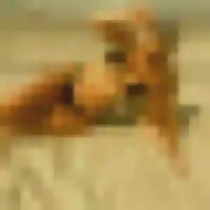 Profil de Jennifer à Draguignan (34 ans) - plan cul discret