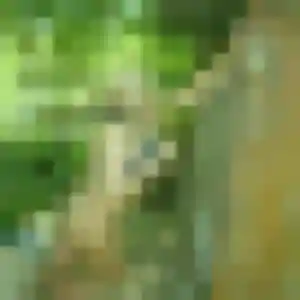 Contacte Lou, 34 ans à Droué en t'inscrivant