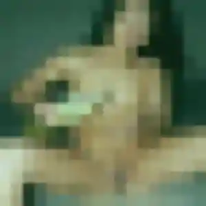 Paulette (43 ans) à Druye cherche une rencontre maintenant