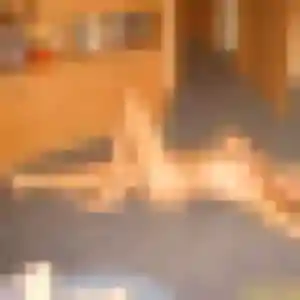 Deborah, 37 ans, en ligne à Durfort-Lacapelette pour un plan cul