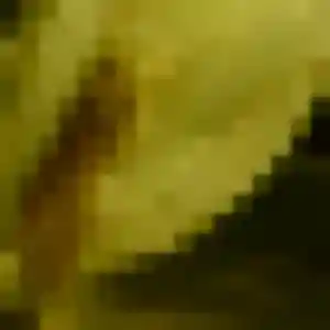 Daba (28 ans) à Durningen propose une rencontre rapidement