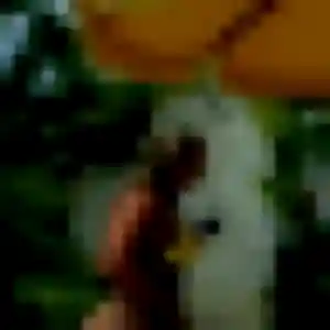 Sexy Jumoke, 31 ans à Durrenbach - découvrir son profil