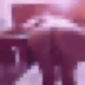 Belle Promise, 33 ans à Durrenbach - découvrir son profil