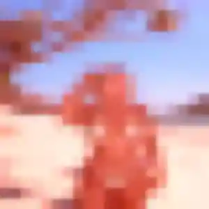 Profil de Héloïse à Échenon (32 ans) - plan cul gratuit