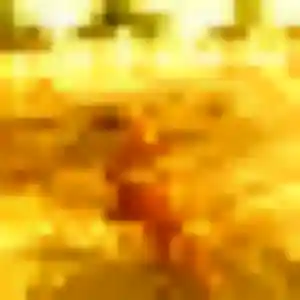 Profil de Séraphine à Échiré (32 ans) - plan cul discret