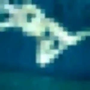 Rencontre Zélie, 30 ans à Échirolles en t'inscrivant