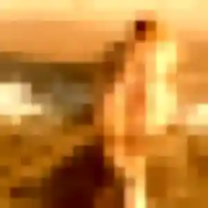 Safi de Écouves, 45 ans - plan cul sans prise de tête