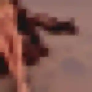 Photo de Dorothée à Ecquevilly (23 ans) - plan cul gratuit